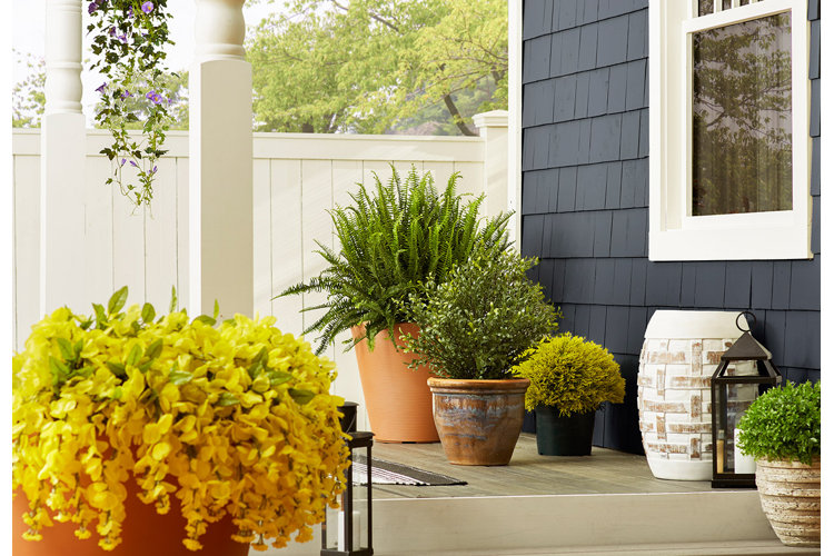 The Best Planter Materials for Your Garden Wayfair